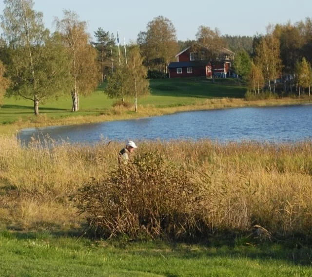 Sture Viksten var inte i vassen idag.