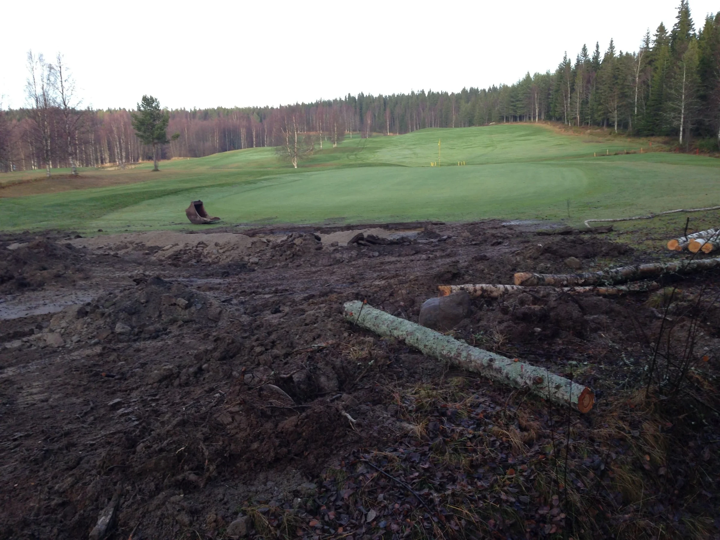 Photo 2013-11-01 13 49 06