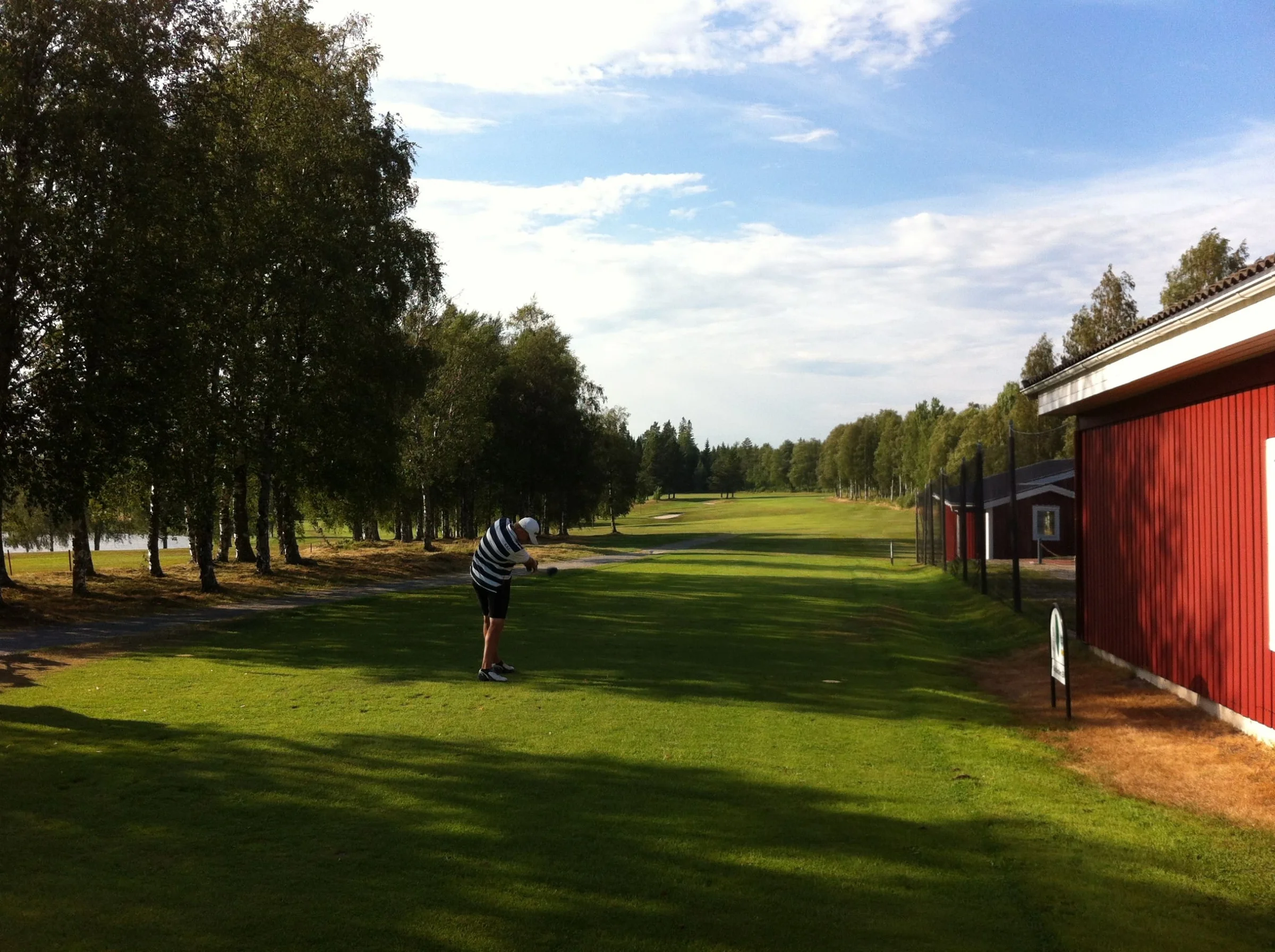 Matti slår i skogen...