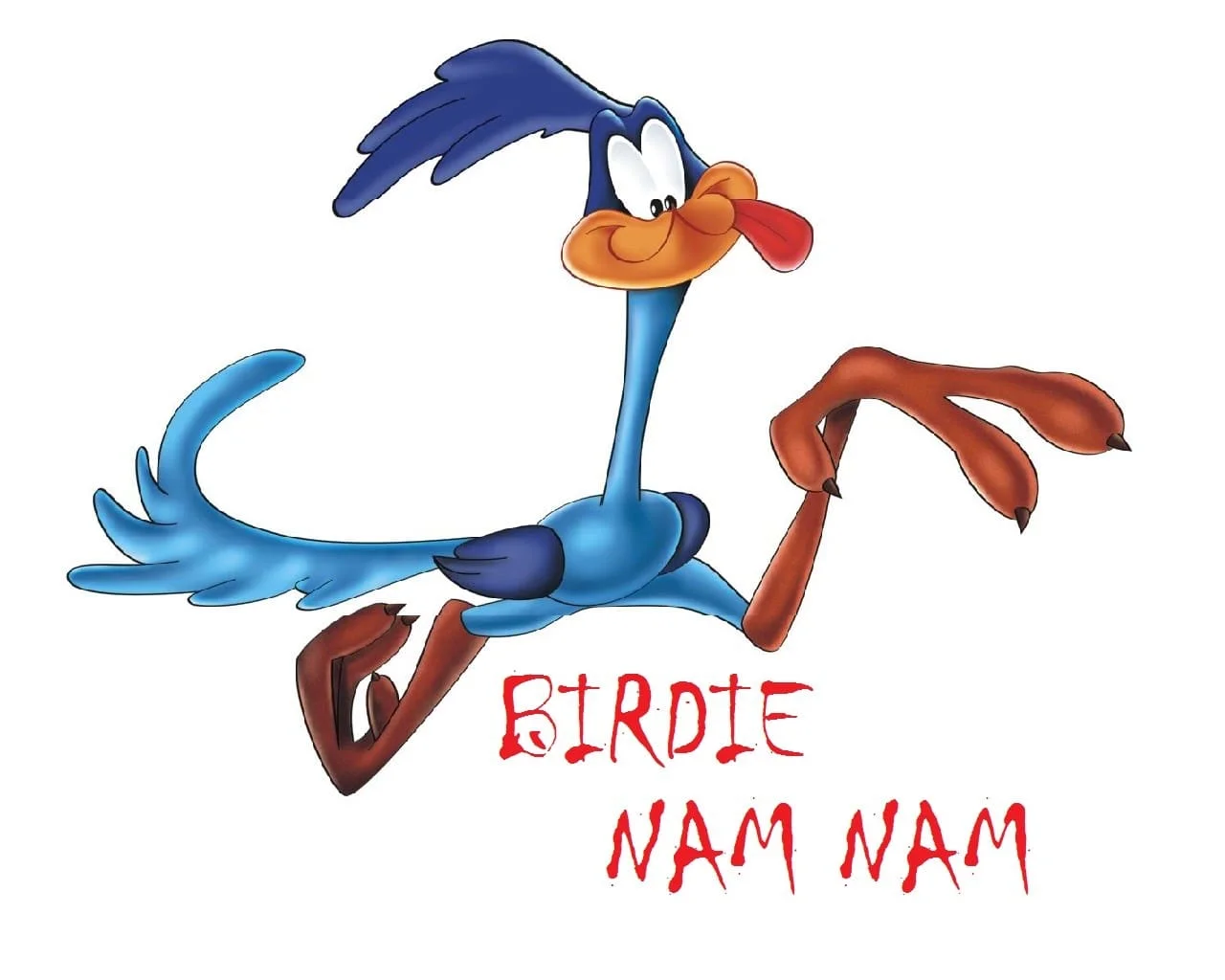 birdienamnam