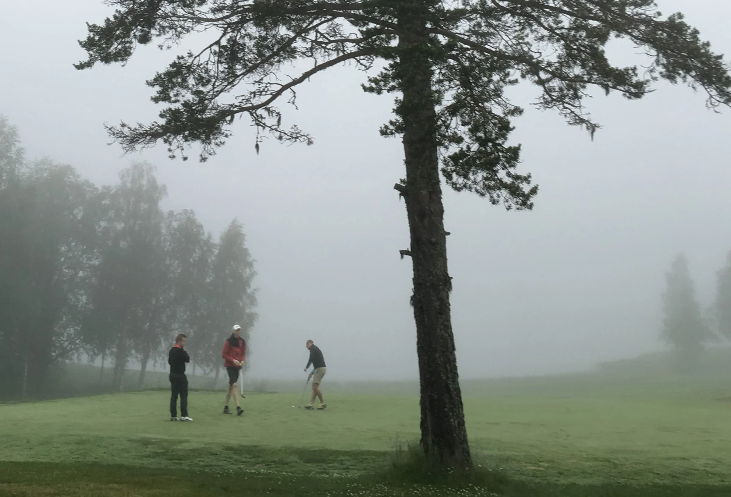 Martin Riis, Tobias Nordin och Jacob Kroon.